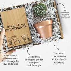 an open box with instructions on how to make a bridesmaid card and succulents in it