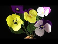 a hand holding a bunch of flowers with purple, yellow and white petals on them