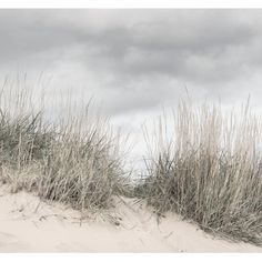 two sand dunes with grass growing out of them and cloudy skies in the background on an overcast day