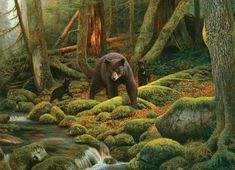 there is a bear that is standing in the woods next to some water and rocks