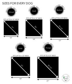 the sizes for every dog are shown in black and white, with an arrow pointing up to