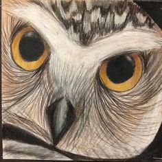 an owl with yellow eyes is shown in this drawing