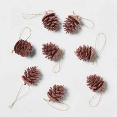 pine cones are arranged in a circle on a white surface, with string and twine