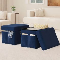 two blue storage bins sitting on top of a white carpeted floor next to couches