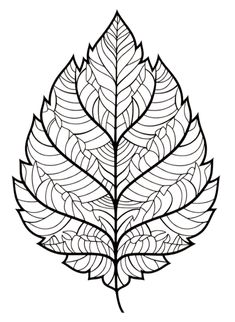 a black and white image of a leaf with leaves on it's side, in the shape of a coloring book page