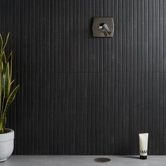 a bathroom with a toilet and a plant on the floor next to it, in front of a black wall