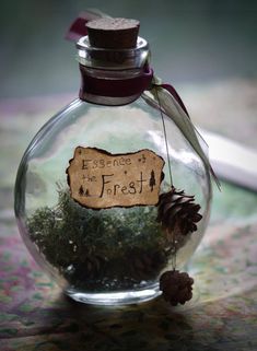 a glass bottle filled with moss and pine cones