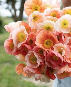 a person holding a bouquet of flowers in their hand with grass and trees in the background