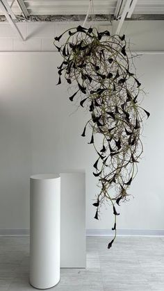 an art installation with vines hanging from it's sides and on the ground in front of a white wall