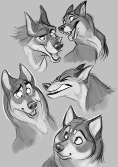 some drawings of wolfs with different expressions