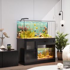 a fish tank sitting on top of a wooden table