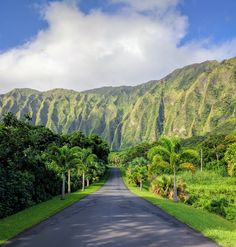 a person walking down the middle of a road surrounded by lush green trees and mountains