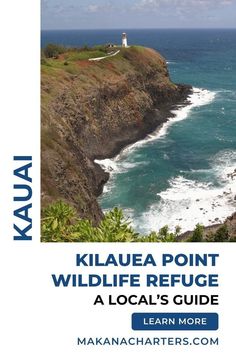 a book cover with the title kilauea point wildlife refuge, a local's guide