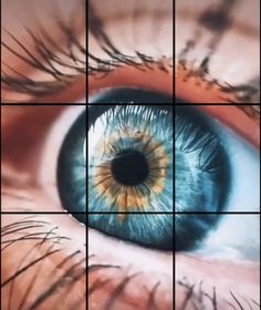 an eye with blue and yellow iris looking through the grids in front of it