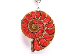 // Natural Ammonite Sterling Silver Pendant with Genuine Red Coral Inlay // This pendant is one of a kind. You will receive the exact item pictured! The pendant measures 2 3/8" long, including the bail, by 1 1/2" wide. This expertly crafted pendant has been made by taking pieces of Natural Red Coral and creating an inlay inside of each cavity of the Ammonite fossil. Choose pendant only, or add a high-quality 1.6mm sterling silver snake chain with an easy-to-use lobster clasp (as pictured). Ammon Spiral Shaped Red Jewelry For Gifts, Red Spiral Jewelry As Gift, Red Spiral Jewelry For Gifts, Silver Statement Necklace, Fossil Jewelry, Ammonite Fossil, Silver Necklace Statement, Silver Snake Chain, Red Coral