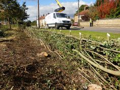 a truck is parked on the side of the road next to a pile of branches