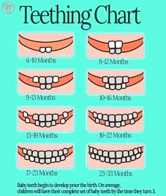 teeth chart with different types of teeth for each child's teeth and how to use them