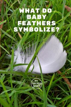 a white feather laying on top of green grass with the words what do baby feathers symbolize?