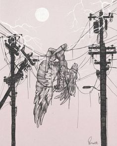 an ink drawing of two birds perched on power lines