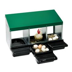 an egg inclosation station with eggs in trays and two chickens on the other side