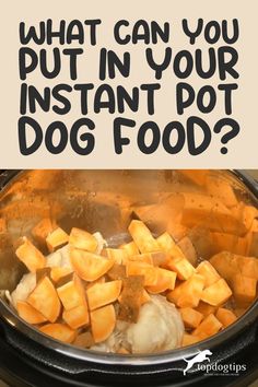 What Can You Put in Your Instant Pot Dog Food? Venison Dog Food Recipes, Scooby Stew For Dogs, Dogfood Homemade Instant Pot, Insta Pot Dog Food Recipe, Homemade Dog Food Recipes Instant Pot, Instant Pot Dog Food Recipes With Chicken, Ground Beef Dog Food Recipes Crock Pot, Instapot Dog Food Recipes Chicken, Pressure Cooker Dog Food Recipes