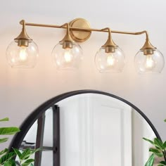 a bathroom vanity with three lights and a mirror on the wall next to potted plants