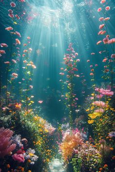 an underwater scene with many colorful flowers and plants