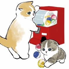 two cats playing with each other in front of a vending machine and gummy balls