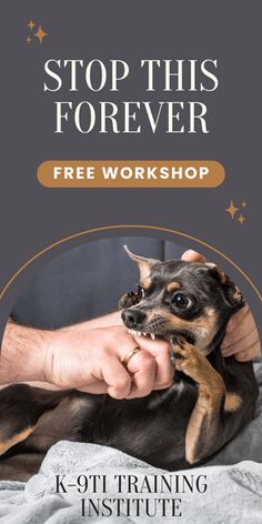 a man petting a small dog on top of a bed with the words stop this forever