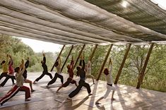 a group of people doing yoga on a wooden platform in front of trees and water