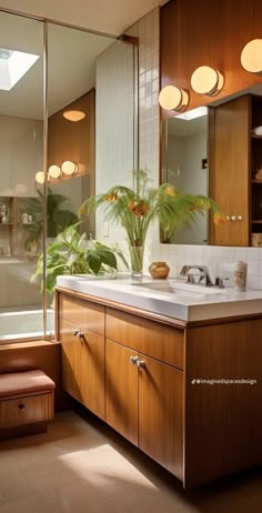 a bathroom with a sink, mirror and bathtub next to a plant in the corner