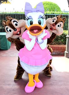 the donald duck mascot is standing in front of two other characters wearing pink and white outfits