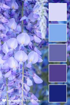 the color scheme is blue and purple with white flowers in it's center, along with other shades