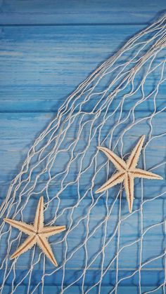 three starfishs in a net on a blue background