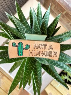 a potted plant with a wooden sign that says not a hugger