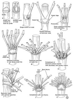 an image of different types of vases and their functions in the process of making them