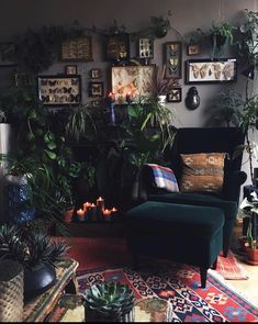 a living room filled with lots of plants next to a fire place and pictures on the wall