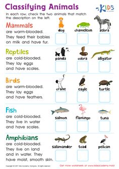 the different types of animals that can be found in this worksheet