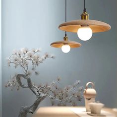 three lights hanging from the ceiling above a table with a vase and potted plant