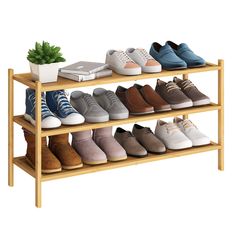 several pairs of shoes are lined up on a wooden shelf with a potted plant