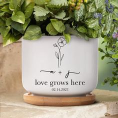 a potted plant with the words love grows here printed on it and surrounded by greenery