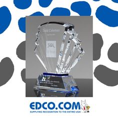 an award is displayed in front of a blue and white background with paw prints on it