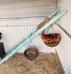 two chickens are in their cages hanging from the side of a building with hay and straw