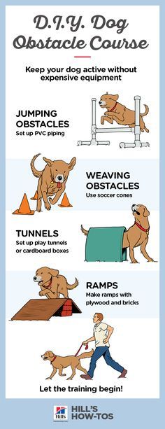 a poster with instructions on how to use the dog trainer's training guide for dogs