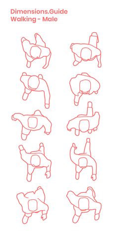 the instructions for how to draw an animal from different angles and colors, including red lines