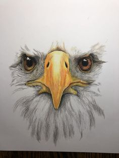 a drawing of an eagle's head with large brown eyes and long, yellow beak