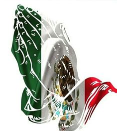 the mexican flag is flying in the wind with an eagle on it's side