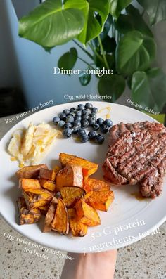 a white plate topped with meat, potatoes and blueberries next to a potted plant