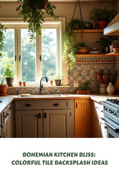 an image of a kitchen with plants on the window sill and potted plants