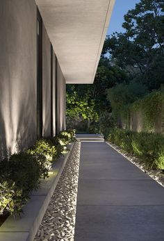 the walkway is lined with plants and rocks, leading up to an outdoor area that's lit up at night